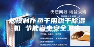 规模制作鱼干用烘干除湿机 节能省电安全卫生