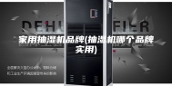 家用抽湿机品牌(抽湿机哪个品牌实用)