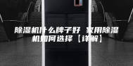 除湿机什么牌子好 家用除湿机如何选择【详解】