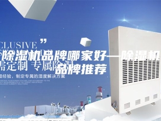 企业新闻除湿机品牌哪家好—除湿机品牌推荐