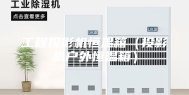 工程投影机恒温箱（投影机户外恒温箱）