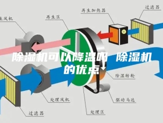 企业新闻除湿机可以降温吗 除湿机的优点
