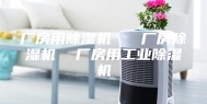厂房用除湿机   厂房除湿机  厂房用工业除湿机