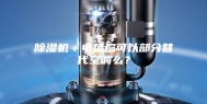 除湿机＋电风扇可以部分替代空调么？