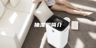 抽湿机简介