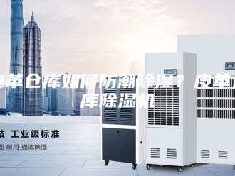 行业新闻皮革仓库如何防潮除湿？皮革仓库除湿机