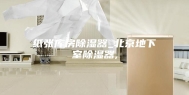 纸张库房除湿器_北京地下室除湿器,