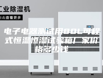 常见问题电子电器测试用80L可程式恒温恒湿试验箱厂家价格多少钱