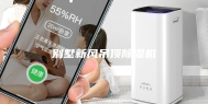 别墅新风吊顶除湿机