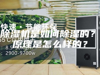 行业新闻吊顶除湿机是如何除湿的？除湿原理是怎么样的？