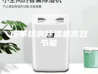 行业新闻皮革烘房除湿机高效节能
