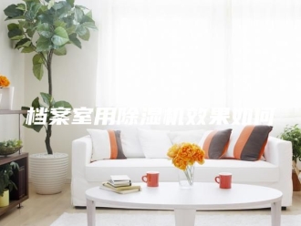 行业新闻档案室用除湿机效果如何