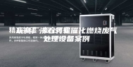 玩具厂沸石转轮催化燃烧废气处理设备案例