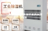 一种黑蒜加热除湿装置的制作方法