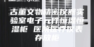 古董文物精密仪器实验室电子元件恒温恒湿柜 医院医疗仪表存放柜