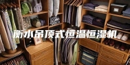 衡水吊顶式恒温恒湿机