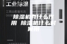 除湿机有什么作用 除湿机什么时候用
