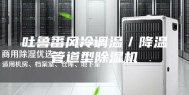 吐鲁番风冷调温／降温管道型除湿机