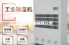 地下室除湿机的分类