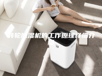 企业新闻转轮除湿机的工作原理详细介绍