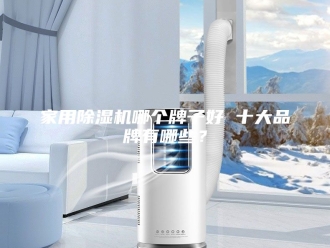 行业新闻家用除湿机哪个牌子好 十大品牌有哪些？