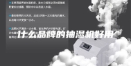 什么品牌的抽湿机好用