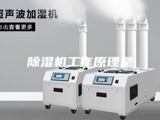 企业新闻除湿机工作原理是