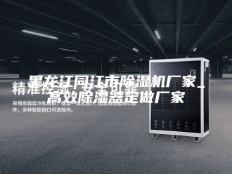 企业新闻黑龙江同江市除湿机厂家_高效除湿器定做厂家