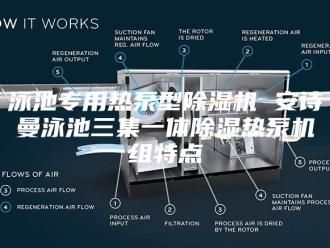 企业新闻泳池专用热泵型除湿机 安诗曼泳池三集一体除湿热泵机组特点