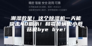 潮湿救星！这个除湿机一天能吸走40瓶水！和霉菌螨虫小蘑菇说bye bye！