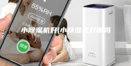 小除湿机好(小除湿机好用吗)