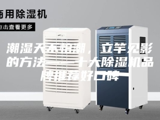 行业新闻潮湿天不怕潮，立竿见影的方法——十大除湿机品牌推荐好口碑