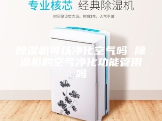企业新闻除湿机可以净化空气吗 除湿机的空气净化功能管用吗