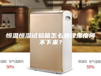 常见问题恒温恒湿试验箱怎么处理湿度降不下来？