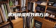 房间除湿有效的方法