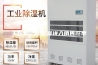 干衣机、除湿器进入销售旺季