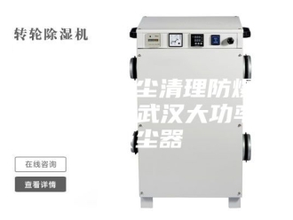 知识百科实验室粉尘清理防爆吸尘器，武汉大功率吸尘器