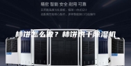 柿饼怎么做？柿饼烘干除湿机