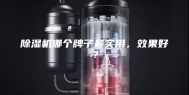 除湿机哪个牌子最实用，效果好？