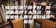 除湿机哪个牌子好，除湿机品牌十大排名，除湿机什么牌子最好品质最好