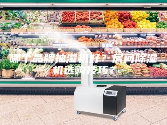 企业新闻哪个品牌抽湿机好？房间除湿机选购技巧？
