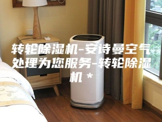 企业新闻转轮除湿机-安诗曼空气处理为您服务-转轮除湿机＊
