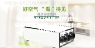 恒温恒湿试验箱可程式恒温恒湿试验箱（触摸屏）80L环境试验箱
