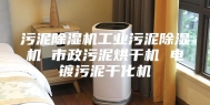 污泥除湿机工业污泥除湿机 市政污泥烘干机 电镀污泥干化机