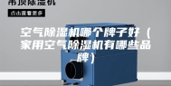 空气除湿机哪个牌子好（家用空气除湿机有哪些品牌）