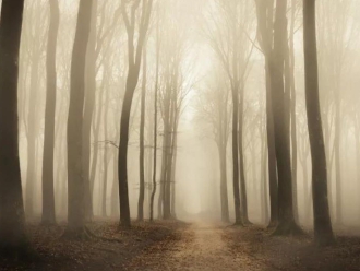 常见问题“回南天”除湿温馨提示