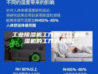 行业新闻工业除湿机工作原理(工业除湿机的工作原理图)