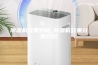 除湿机效果好吗_除湿机效果分析介绍