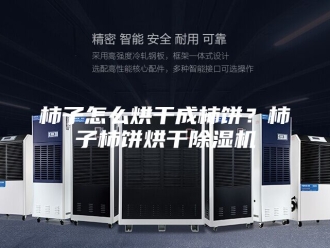 行业新闻柿子怎么烘干成柿饼？柿子柿饼烘干除湿机