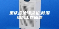 重庆泳池除湿机,除湿热泵工作原理